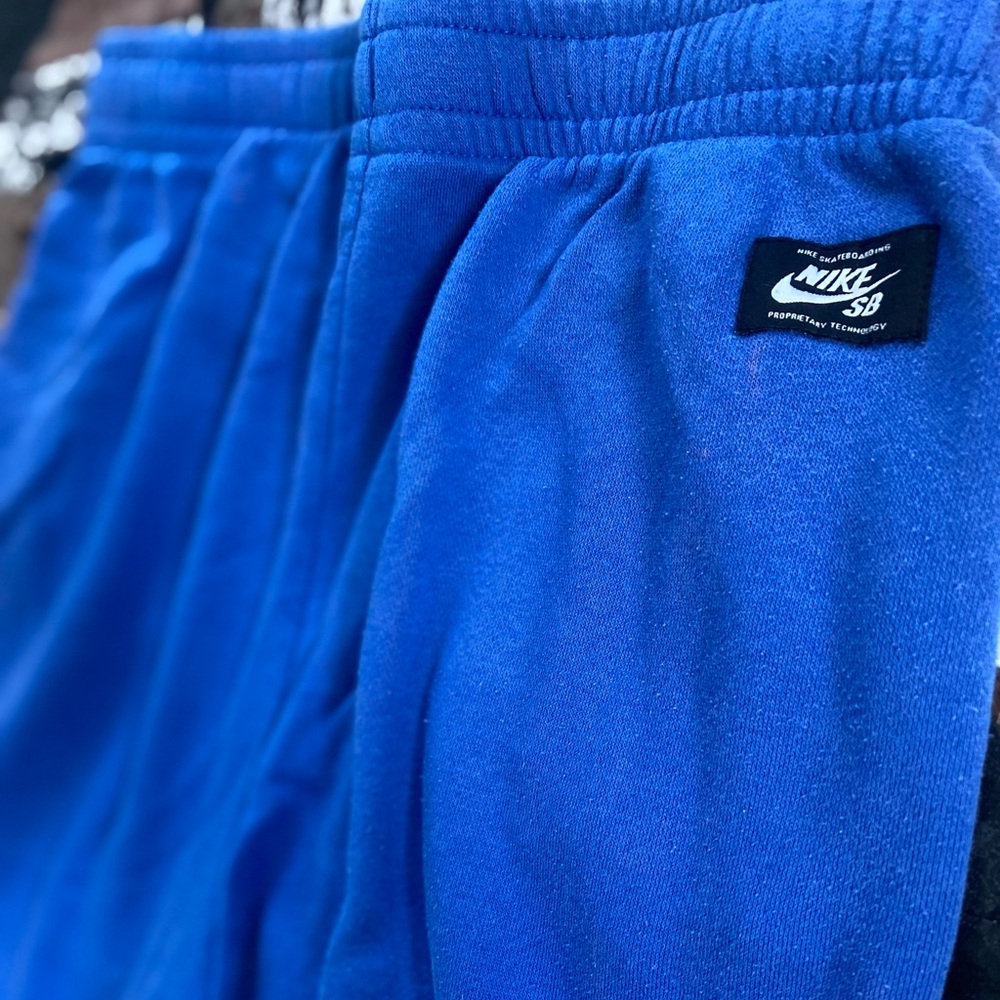 Nike SB sweatshorts